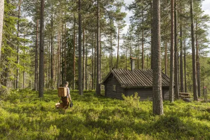 A man with a cone on his back walking in the woods, a small timbered grey cottage.