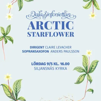 Konsertaffisch med blå text ”Arctic Starflower” och blommor med gröna blad runt kanten på ljus bakgrund..