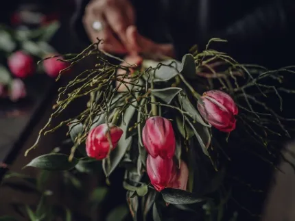 Närbild av en bukett rosa tulpaner med gröna blad och kvistar, hållen i handen mot mörk bakgrund..