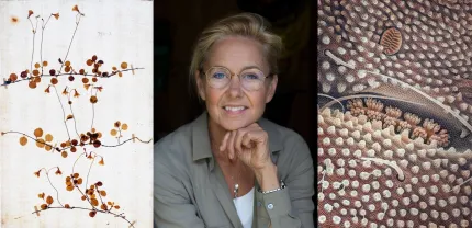 Tredelad bild med pressad växt till vänster, en sittande person i mitten och ett närfoto av prickigt mönster till höger..
