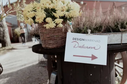 En vit skylt med pil åt höger hänger på ett bord med korg av gula blommor och lila ljung utomhus..