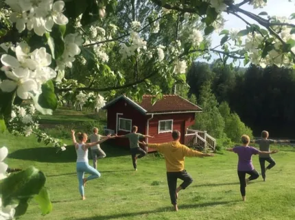 Sex personer gör yoga i balans på en grön gräsmatta framför en röd stuga, med blommande grenar i förgrunden..