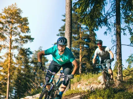 Two cyclists wearing helmets ride mountain bikes on a rocky forest trail among tall pine trees in sunlight..