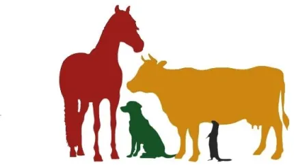 Färgade silhuetter av en häst, en ko, en sittande hund och en katt mot vit bakgrund..