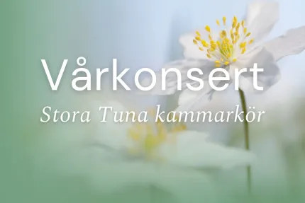 Närbild av en vit vårblomma med gula ståndare mot mjuk grön-blå bakgrund, med text överlagrad..