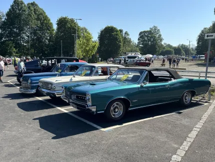 Rad av klassiska bilar parkerade på en bilträff i soligt väder, med människor och träd i bakgrunden..