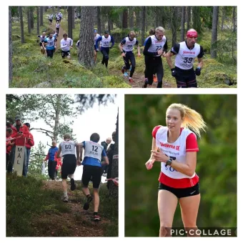 Kollage med löpare i nummerlappar som springer på skogsstigar; en bild visar målskylt och en närbild på löpare..