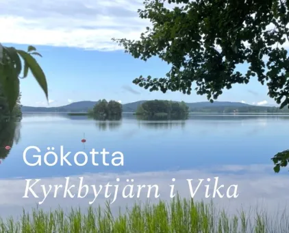 Still sjö med spegelblankt vatten, små öar och skogiga höjder i fjärran, inramad av löv och vass..