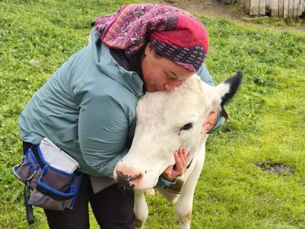 En person i jacka och färgstark huvudduk kramar en vit kalv på en grön gräsmatta utomhus..
