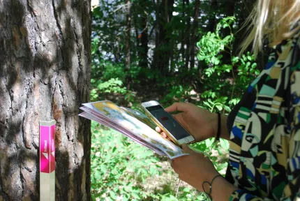 En person håller en karta och en smartphone vid en tallstam i skogsmiljö, med grön vegetation i bakgrunden..