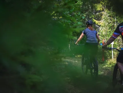 Two cyclists on a path in the woods.