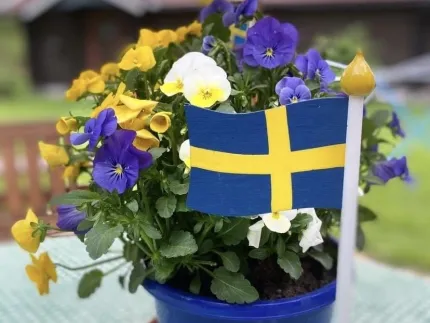 Svenska flaggan som bordsflagga i trä, en kruka med blommor i blått och gult på bordet.