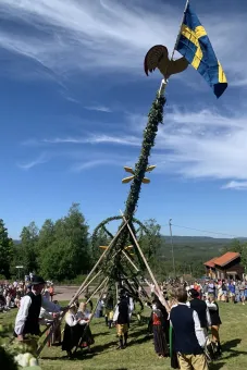 Folk i folkdräkter reser en midsommarstång klädd med grönt och svensk flagga mot blå himmel med moln..