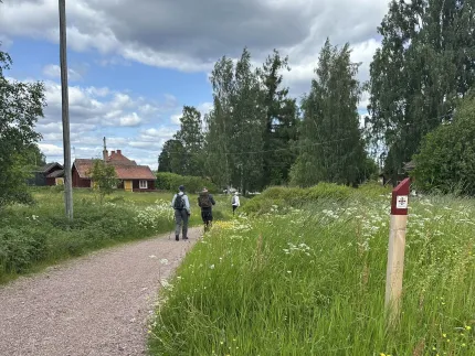 Tre vandrare på en grusväg, en ledmarkering, röda byggnader i bakgrunden.