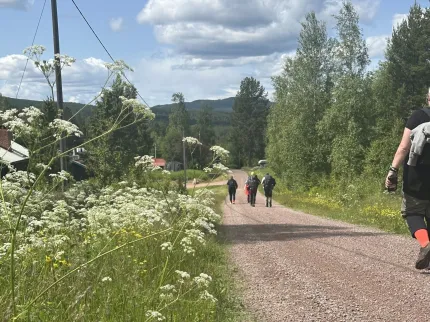 Vandrare på en grusväg, sommargrönt landskap på båda sidor om vägen.