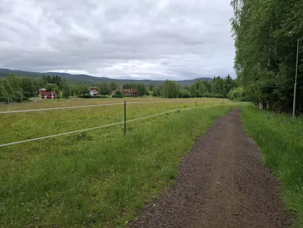 En grusväg, träd på ena didan av vägen och en beteshage på den andra sidan, röda hus i bakgrunden,