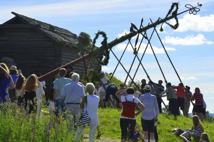 Människor samlas på en gräsbacke och reser en lövad midsommarstång intill en timrad lada under blå himmel..