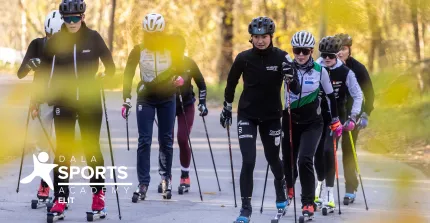 En grupp personer tränar rullskidor med stavar på en asfalterad väg i skog med höstfärger..