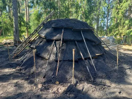 Stor kolmila täckt av svart jord med lutande pinnar och brädor, omgiven av tallskog i dagsljus..