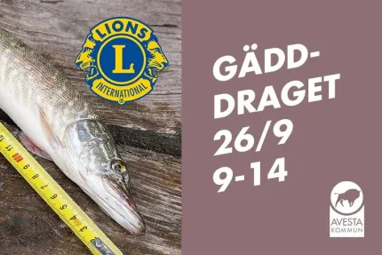 Affisch med en gädda på träyta bredvid ett måttband, samt text om fisketävlingen Gädd-Draget..