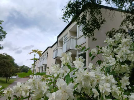 Närbild av vita blomklasar i förgrunden med ett ljust flerfamiljshus och balkonger under en molnig himmel..