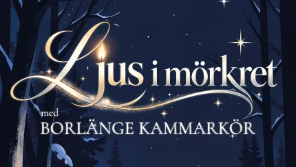 Mörkblå affisch med skogssiluetter, stjärnor och texten ”Ljus i mörkret” samt ”Borlänge kammarkör”..