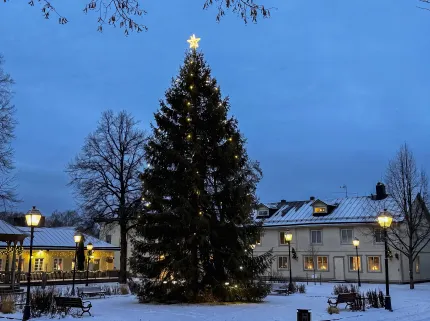 Stor gran med ljusslingor och stjärna står på ett snötäckt torg, omgiven av hus och gatlyktor i skymning..