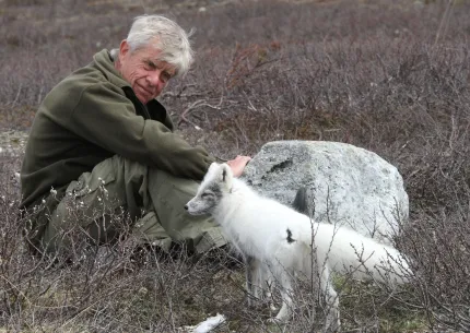 En man sitter på marken vid en sten och stryker en vit fjällräv bland låga buskar i ett kargt landskap..
