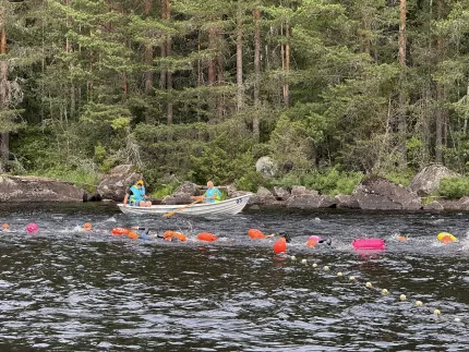 Flera simmare med färgglada badmössor simmar i mörkt vatten nära en roddbåt vid skogig strand..