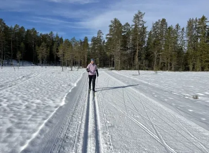 En person åker längdskidor på ett preparerat spår genom ett snötäckt landskap med tallskog och blå himmel..