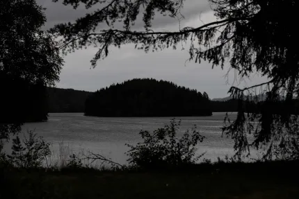 Mörk silhuett av en skogklädd ö i en sjö, inramad av trädgrenar och buskar under molnig himmel..