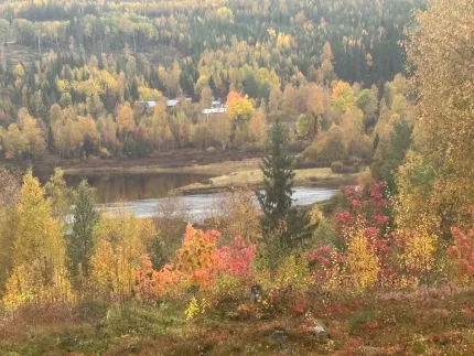 Utsikt över höstfärgad skog och en stilla sjö med blandade lövträd och granar, samt enstaka hus i fjärran..