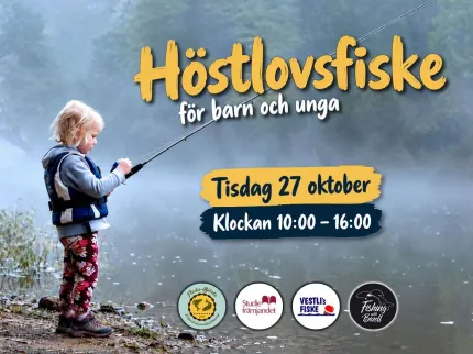 Affisch med ett barn som fiskar vid en dimmig sjö, med stor rubrik och information om datum och tid..