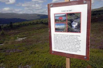 Information sign about the Linnéaus trail 