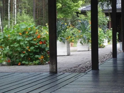 Uteplats med fina krukor med krasse.