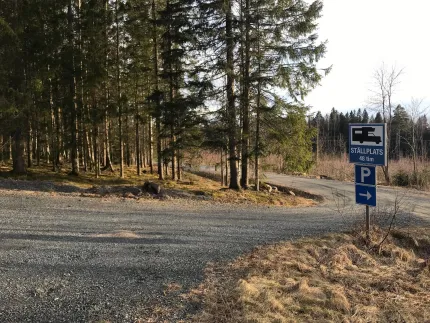 The quick stop with forest next to it.