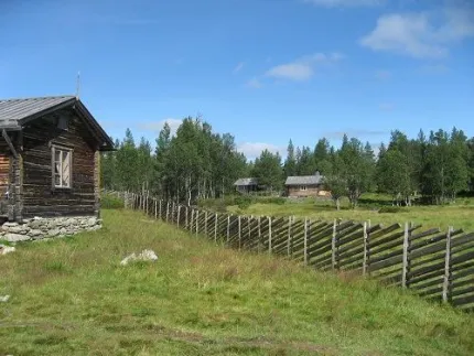 View over a summer farm.