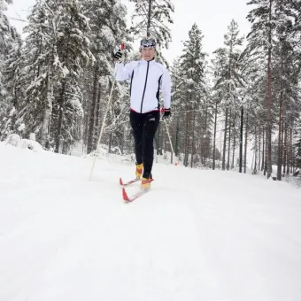 Cross-country skier in winter landscape.