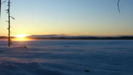 Tidig morgon med soluppgång.