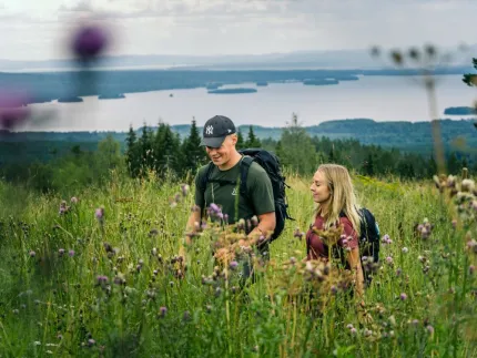 Ett par vandrar i sommarlandskap.