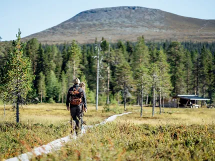A person goes on a trail towards forest and mountains.