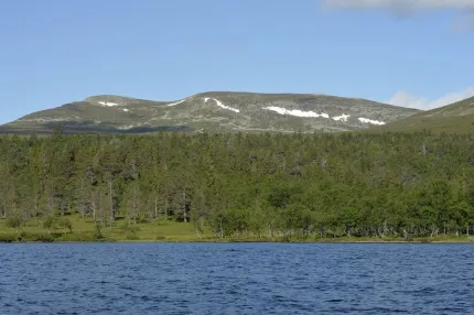 Sjö med grönklädda fjäll i bakgrunden