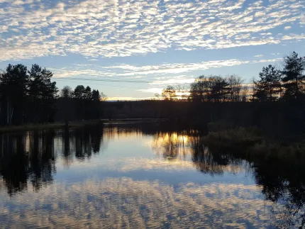 View of river and trees at sunset.