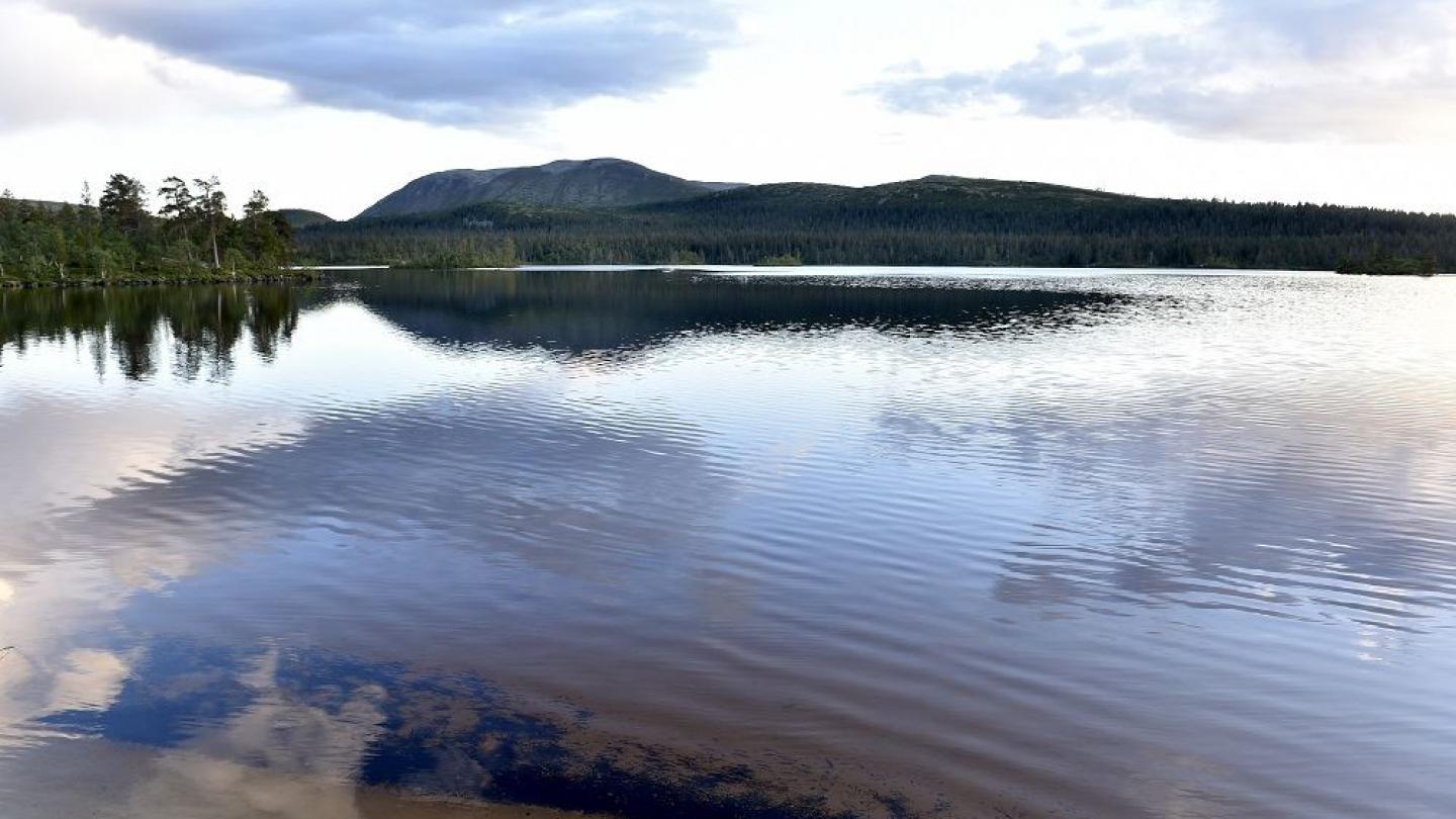 Stora Harundsjön