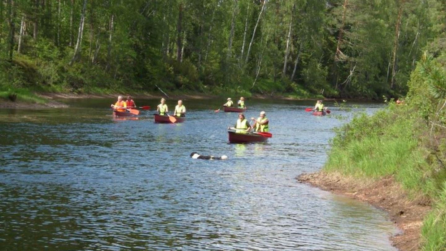 Canoe on the Oresjön