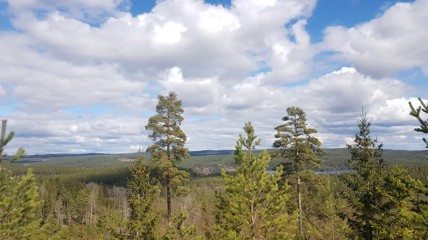 Vålberg-Hackmora 6 km