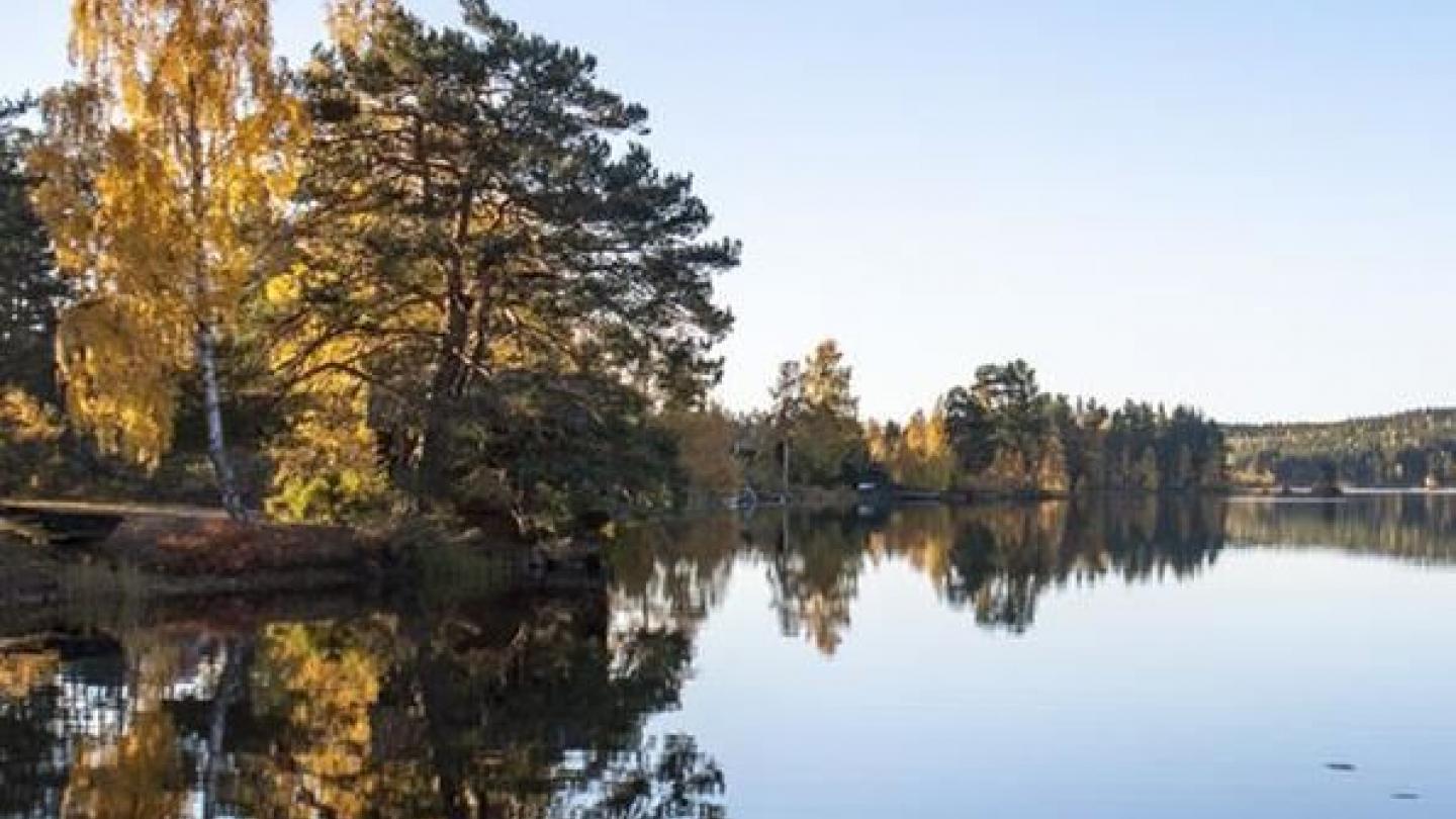 Badplatser i Falun | Visit Dalarna