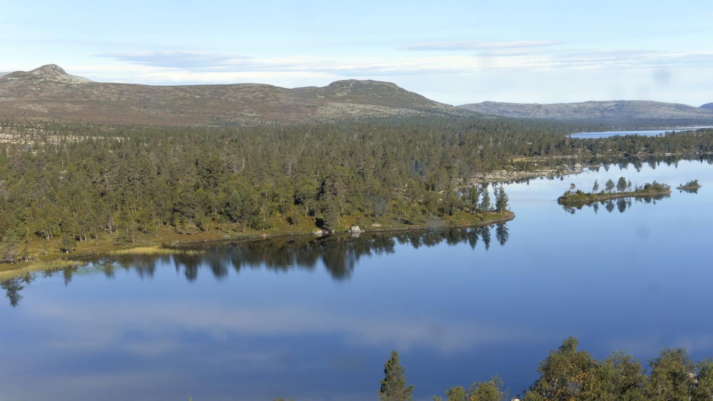 Sjön Särjön vid Långfjället.