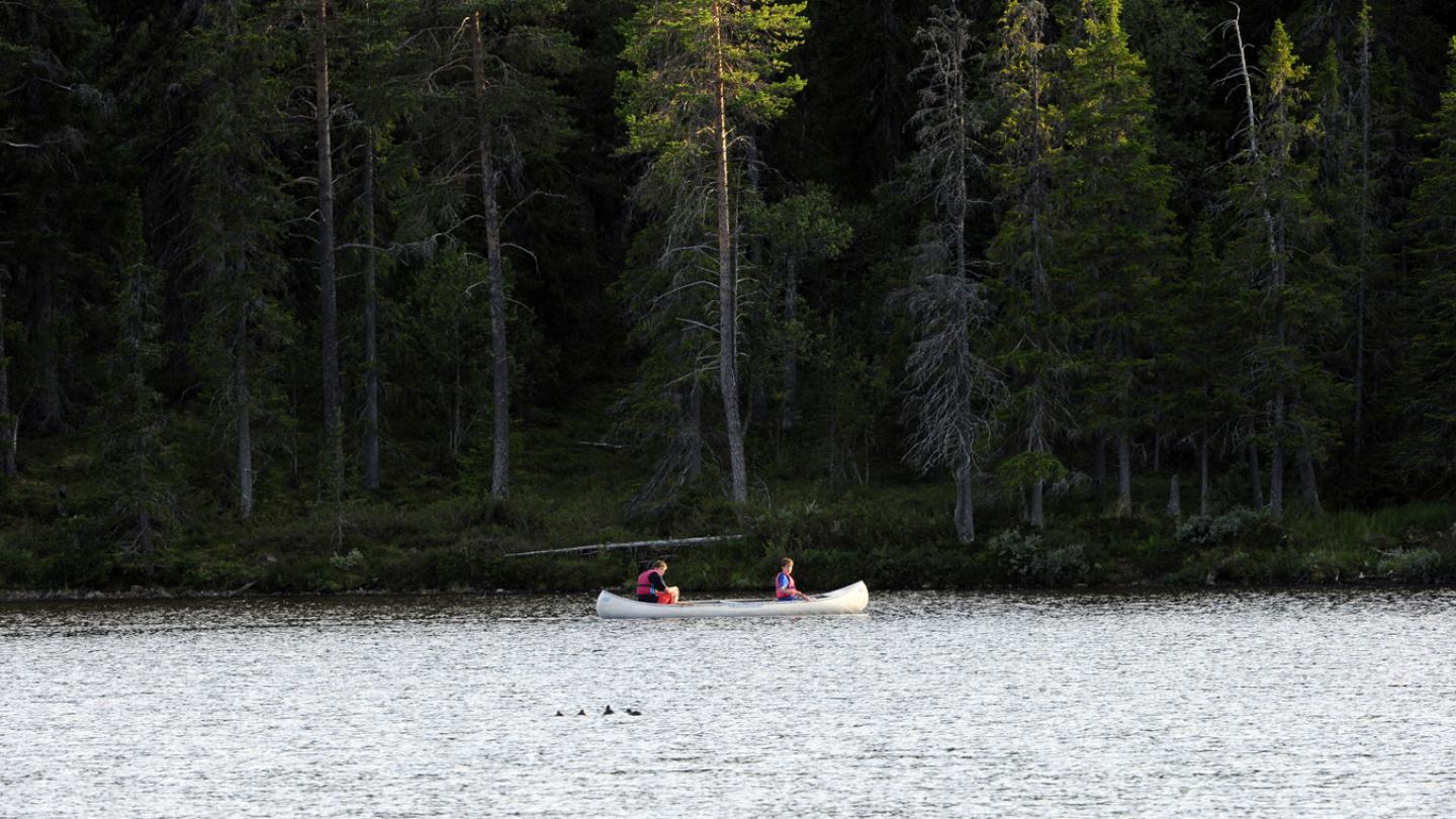 Paddla kanot Älvdalen