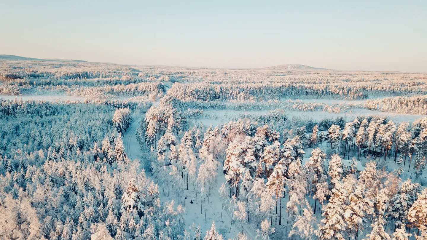Vintrigt Dala landskap.